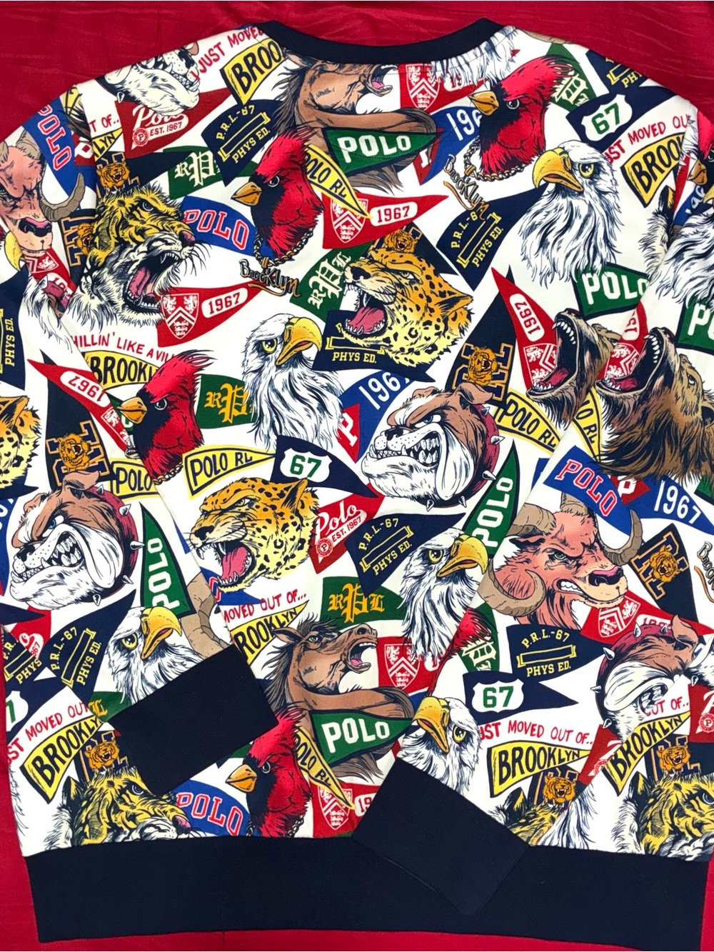 Polo Ralph Lauren Multicolor Graphic Logo Sweatshirt—Size Large - Picture 4 of 4